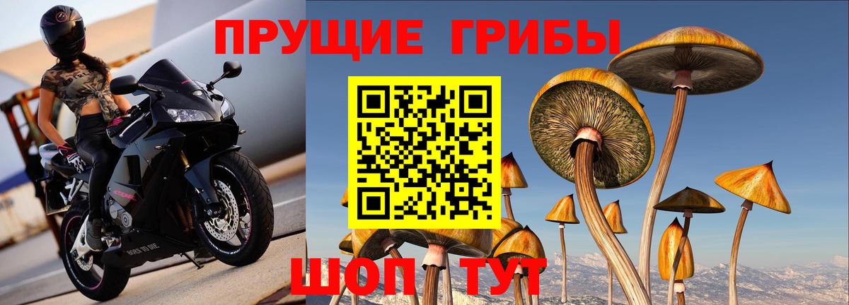 Псилоцибиновые грибы Magic Shrooms  цена наркотик  Ханты-Мансийск  Вход с VPN 